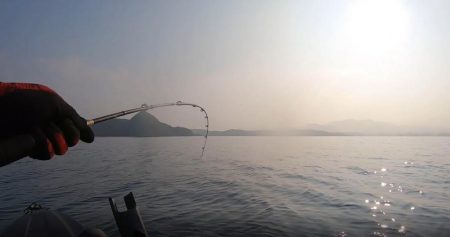 カヤックコラボｗオジサンにホウボウｗガラカブの根魚